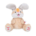 Plush Motion Toy (YUI6)