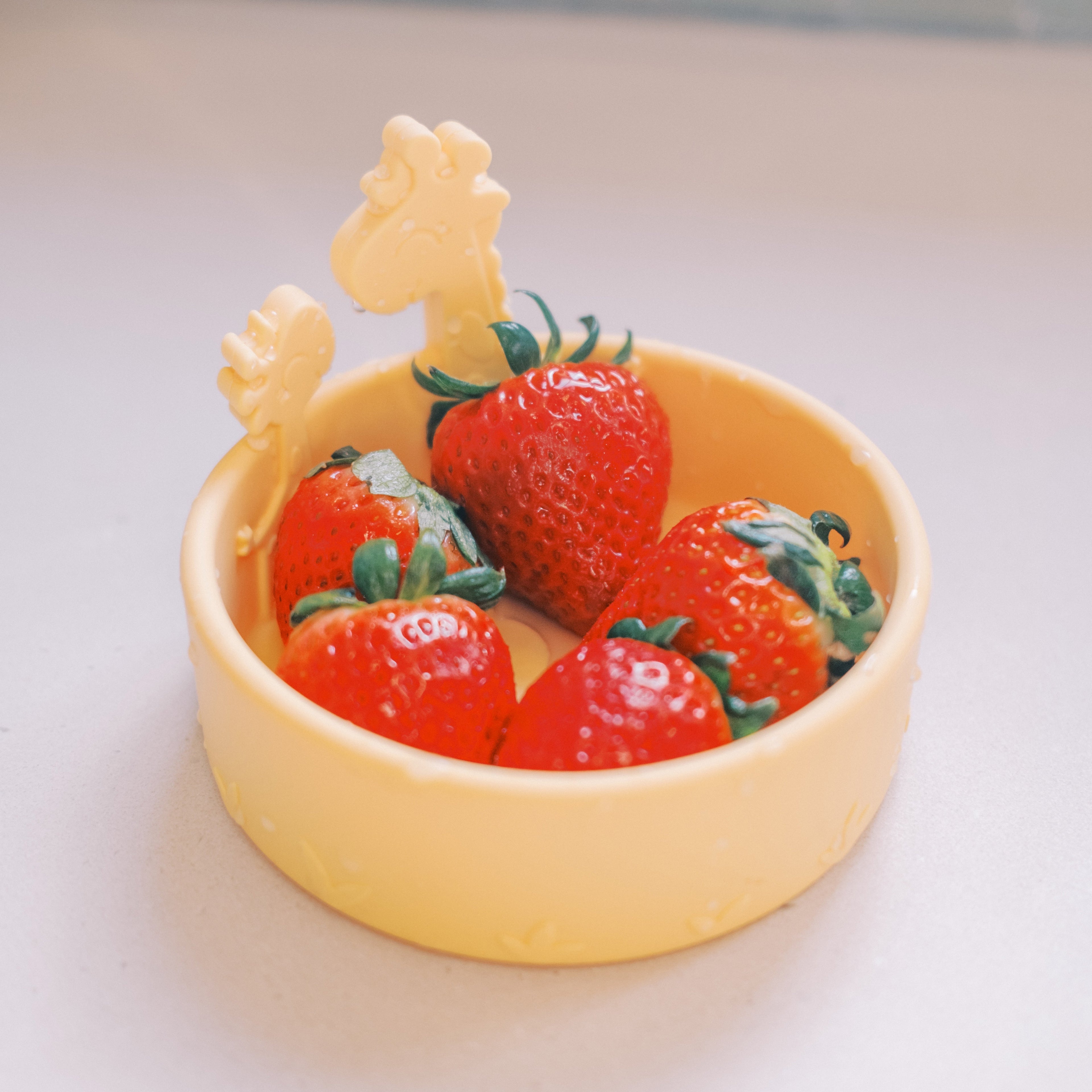 Animal Friends All Silicone Bowl (1WOQ)