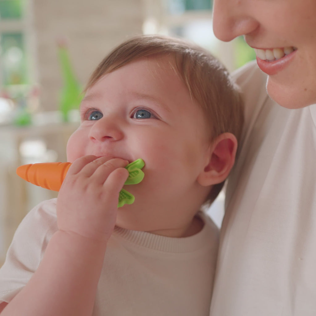 Carrot Teether Set (2 Pack) (AU9E)