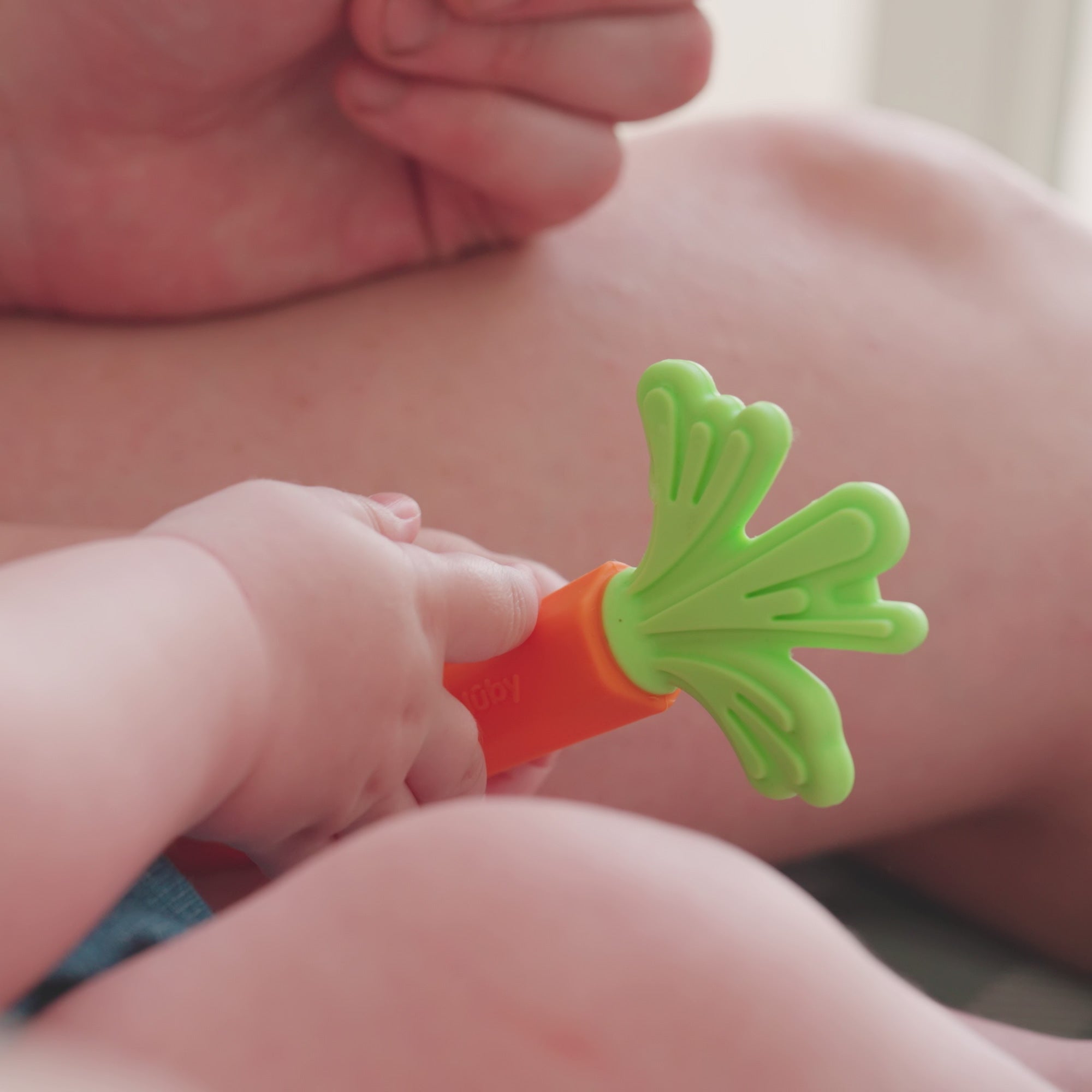 Carrot Teether Set (2 Pack) (AU9E)