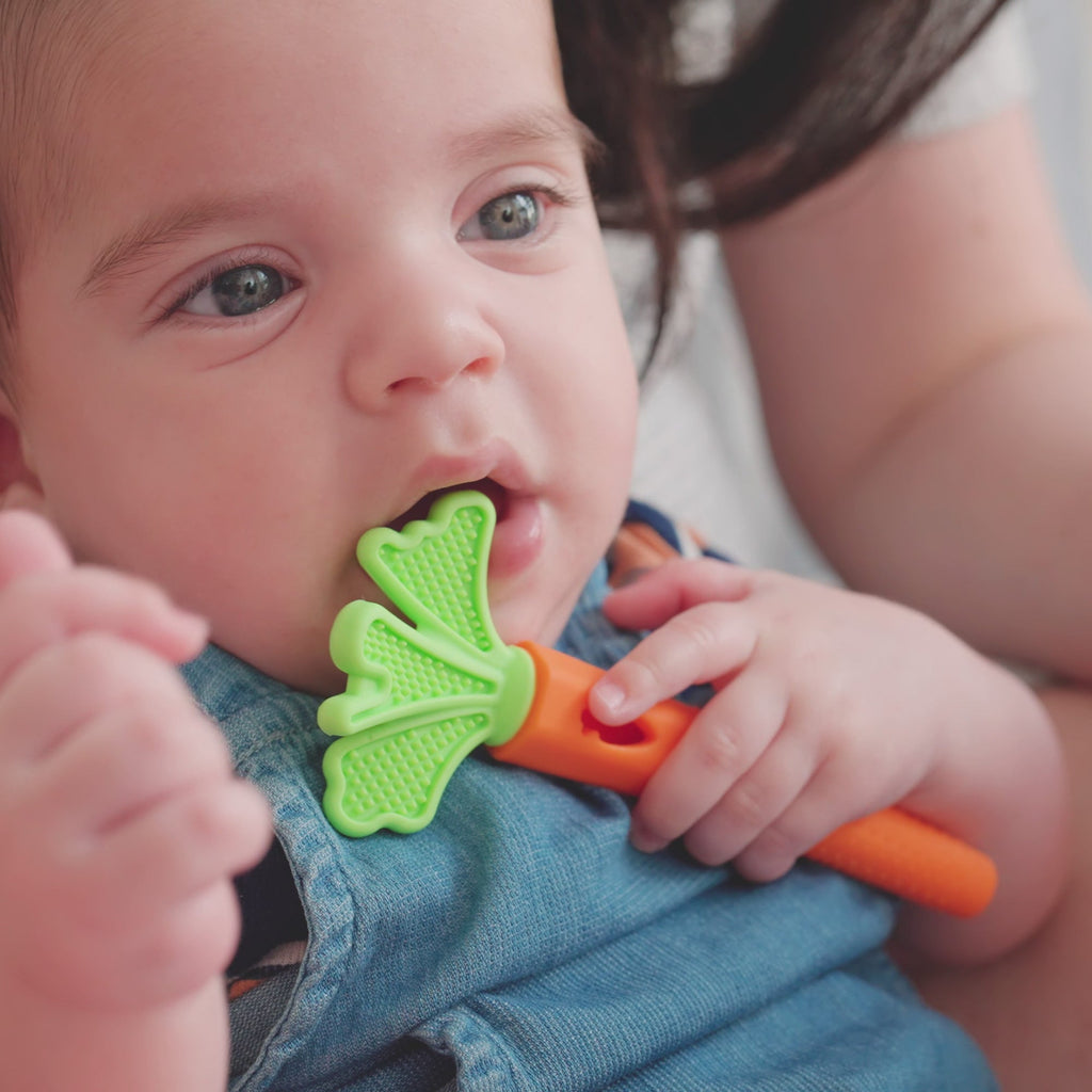 Carrot Teether Set (2 Pack) (AU9E)