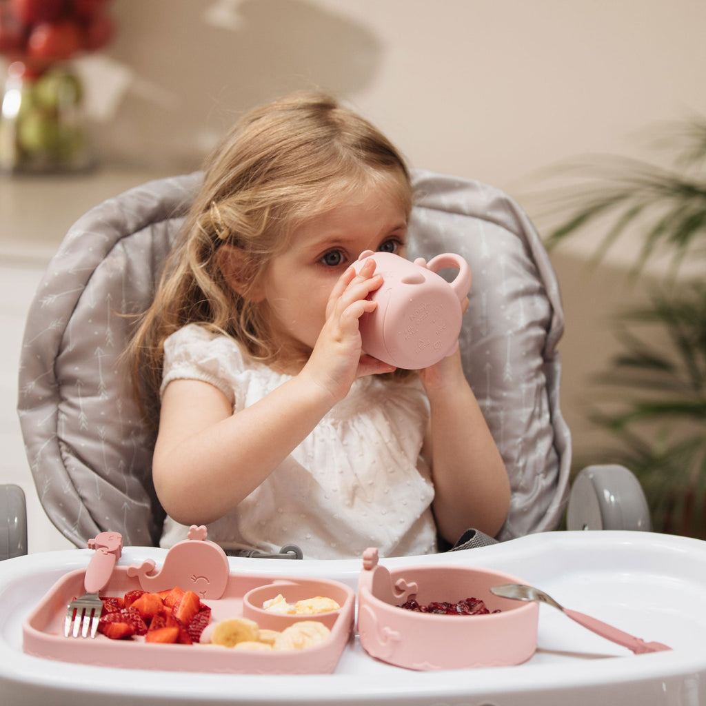 Animal Friends 6-Piece Dinnerware Set - Pink Whale (JU6D)