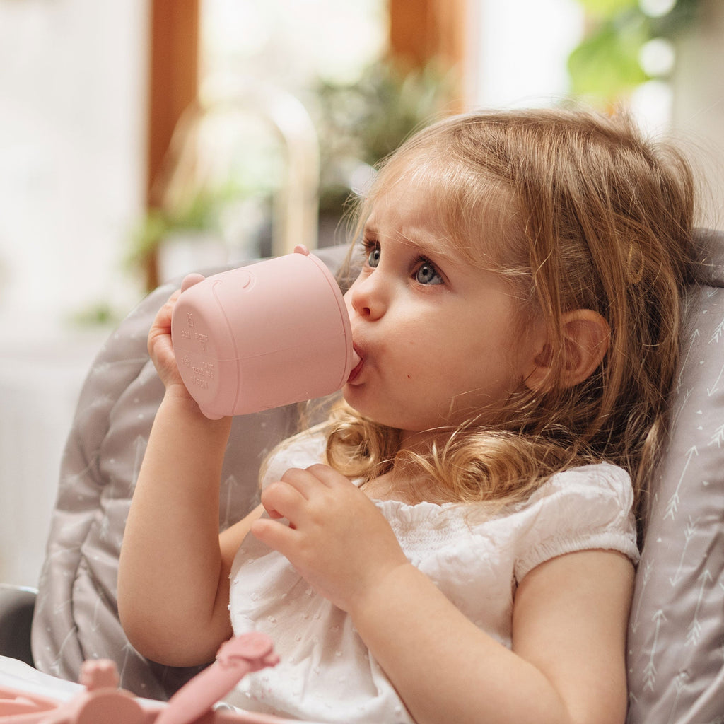 Animal Friends One-Handle Silicone Sippy Cup (WRE1)