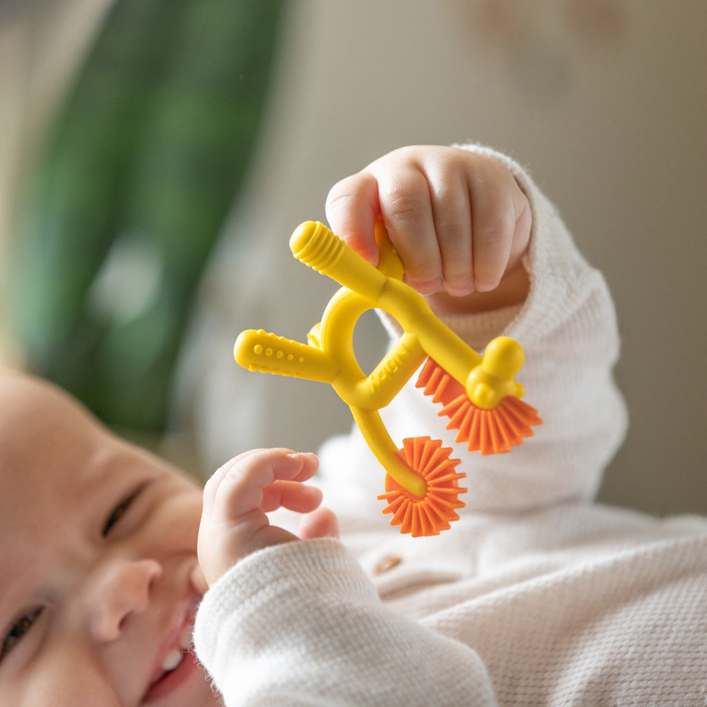 Geo Zoo Silicone Teether (S6Y8)