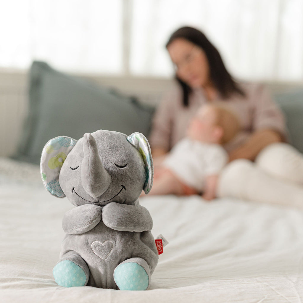 Motion & Sound Plush (KMWD)
