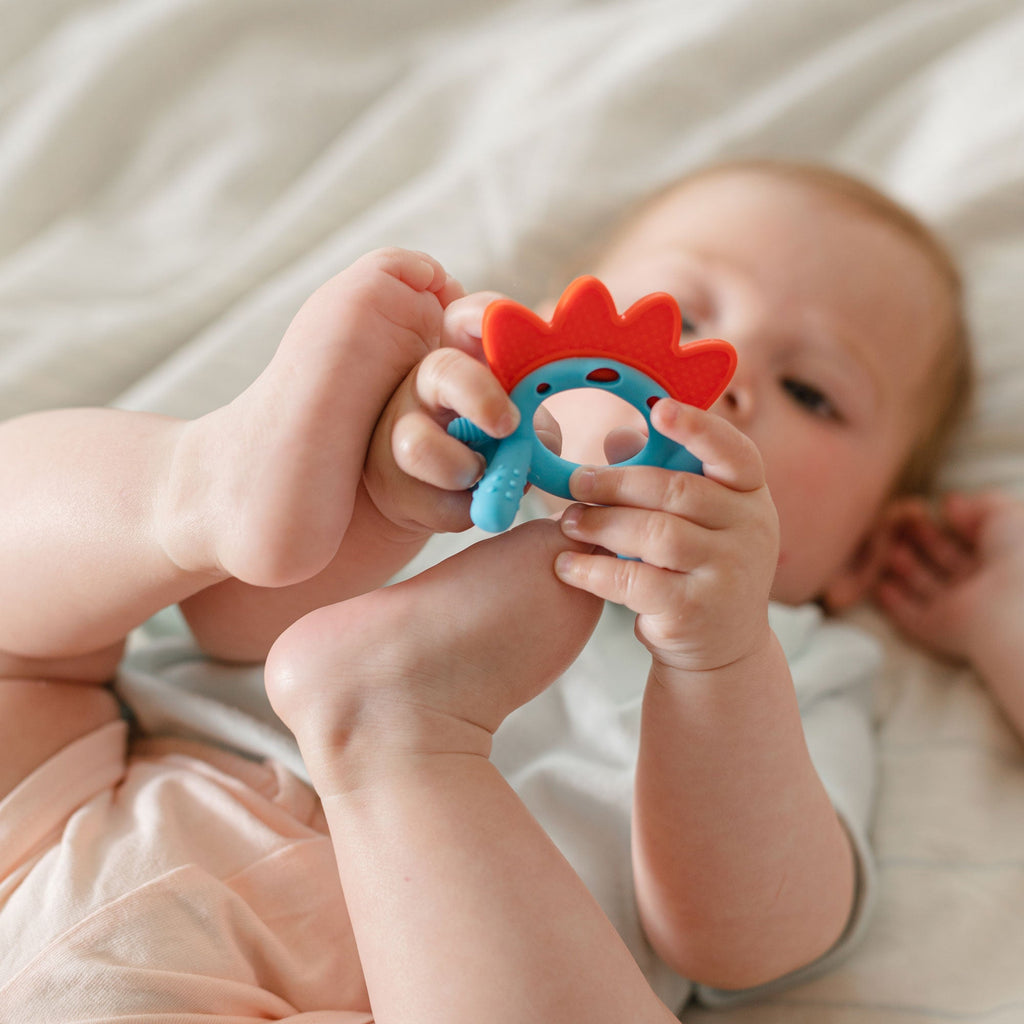 Geo Zoo Silicone Teether (S6Y8)