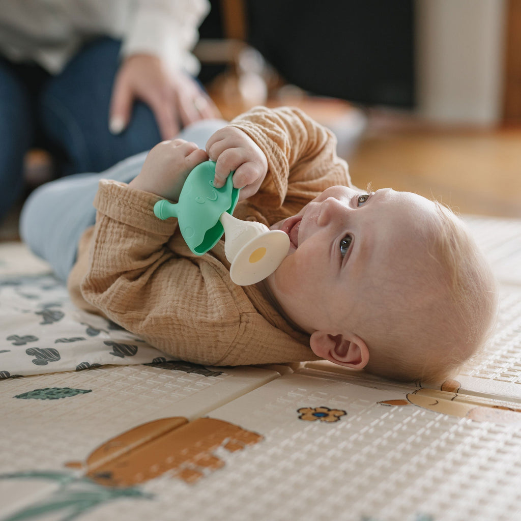 On-the-Go Teething Times Bundle (R7XO)