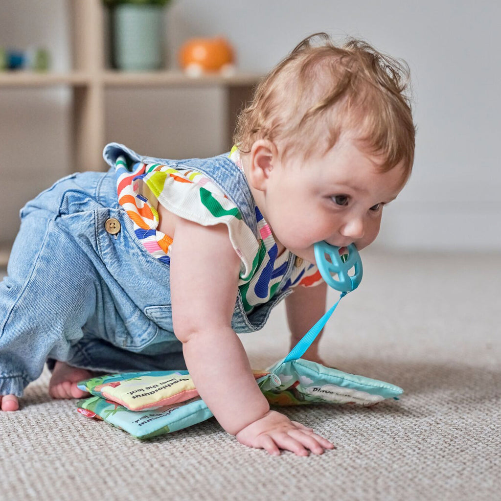 Baby Sensory Book | Dino (P0UN)