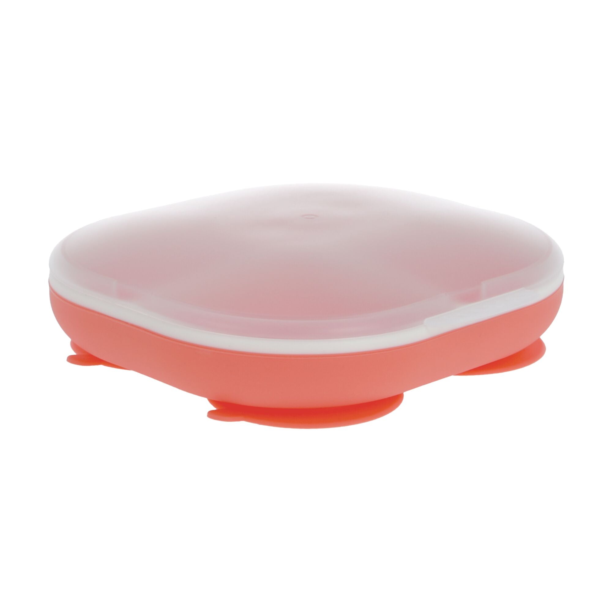 Rectangular Silicone Suction Plate (2 Pack) | Coral / Aqua (CXJN)