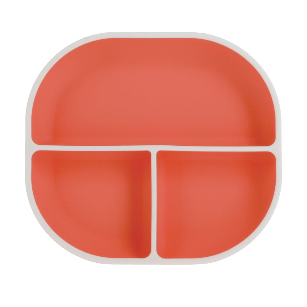 Rectangular Silicone Suction Plate (2 Pack) | Coral / Aqua (CXJN)