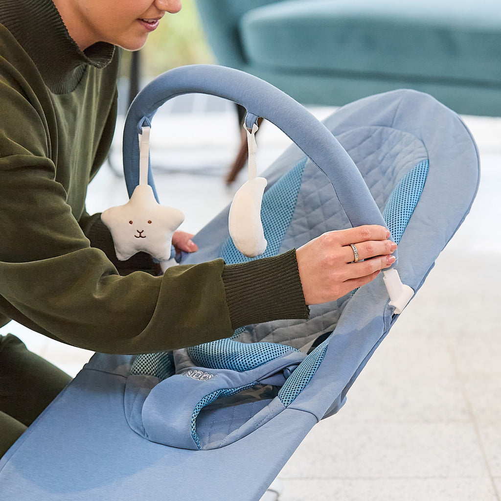 Deluxe Baby Bouncer Seat | Blue (XXJO)